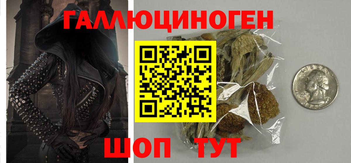 Псилоцибиновые грибы Cubensis  Вход с VPN  Кемерово 