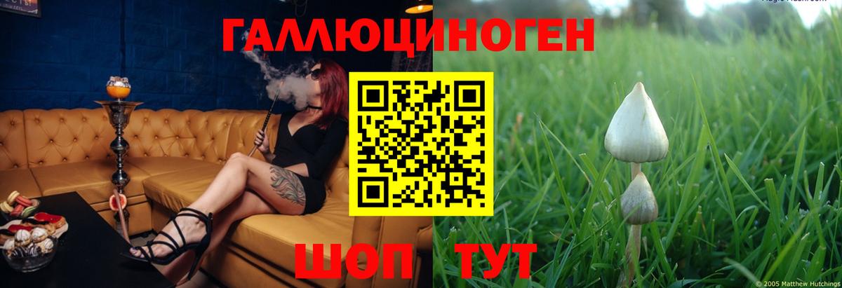 Галлюциногенные грибы ЛСД Кемерово